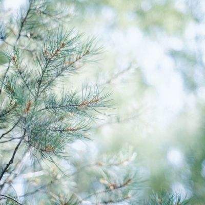 众发体育app娱乐手机版